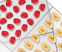 Originele Fabriek Zonne-Energie Plantaardige Ontwatering Oven Vis Droger Plc Controle Voedsel Drogen/Fruit Dehydrator Machine