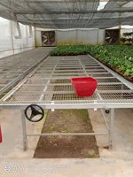 Banco de Cultivo Móvil con Ruedas para Invernadero, de Fácil Instalación, Doble Capa, Grande, 4x8 pies, para Semilleros e Hidroponía