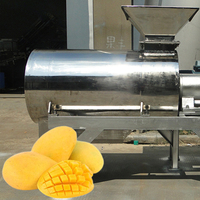 Mango Sap Pulp Puree Mango Fruit Verwerking Maken Machine Productielijn Plant