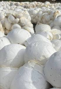 Prix direct usine – Caoutchouc latex de qualité moulage du Vietnam, en morceaux, matières premières caoutchouc de haute qualité - Product Image 6