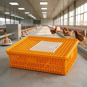 Nouvelle Caisse de Transport pour Poussins Grande Capacité, Ventilée, en PE, pour Écloserie - Product Image 3