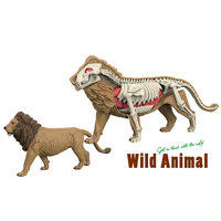 Sciences naturelles éléphant tigre vache cheval modèle bricolage animal squelette jouet