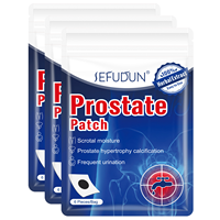 Offre Spéciale : Patchs pour Hommes – Soin de la Prostate, Apaisement de la Prostatite et de l'Urétrite, Soulagement des Douleurs Urinaires, Soutien Renforcé des Reins – Usage Corporel (6 patchs/sachet)
