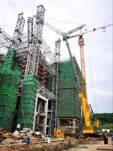 رافعة شاحنة بستان مستعملة - Product Image 2