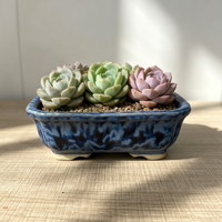Pot suspendu rectangulaire en argile violette Yixing pour plantes succulentes, pot à bonsaï en céramique émaillée antique, écologique, pour extérieur et jardin domestique