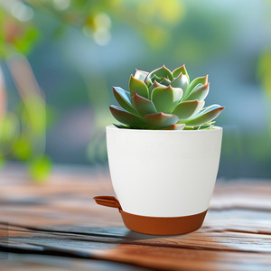 Vasi da <span class=keywords><strong>Giardino</strong></span> All'Ingrosso, Fioriere Autoirriganti per Piante da Interno, Vasi in Plastica con Sistema di Auto-Irrigazione - Product Image 4