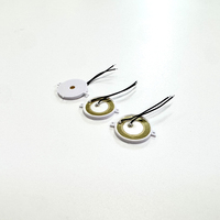 Sonotrode piézoélectrique passif circulaire SWT 16 mm 2,5 kHz avec fils de connexion noirs pour appareils électroniques domestiques et petits appareils portables