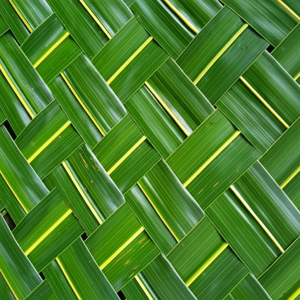 MATERIA PRIMA SOSTENIBLE: HOJAS DE PALMA NIPA SECAS PARA ARTESANÍA Y CESTAS - Product Image 1