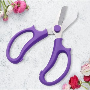 กรรไกรตัดแต่งกิ่งดอกไม้ สแตนเลสสตีล แบบใช้มือขวา สำหรับกุหลาบและดอกไม้สด - Product Image 1