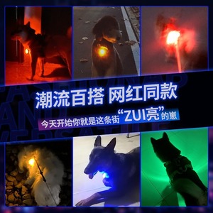 Rechargeable Led Pet <b>Light</b> Pendant Blue Waterproof Flashing <b>Dog</b> Walking <b>Light</b> Outdoor Lighting Supply - Product Image 3