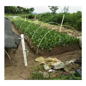 Estacas de poste de fibra de vidrio Natural para plantas, estaca de poste de Frp para escalada de tomates, árboles y granos