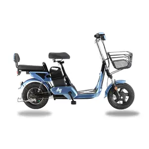 Vélo électrique pour adulte avec pneus larges, moteur sans balais, 350W, 14 pouces, livraison gratuite