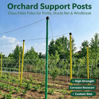 Poteau de support robuste en fibre de verre verte, résistant à la corrosion, pour filet d'ombrage, verger, treillis de vigne, serre tunnel