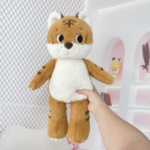 Gusci di Orso in Poliestere e Cotone PP Non Finiti, Assortiti, per Giocattoli Animali Fai-da-Te, Unisex, per Bambini, San Valentino - Product Image 3