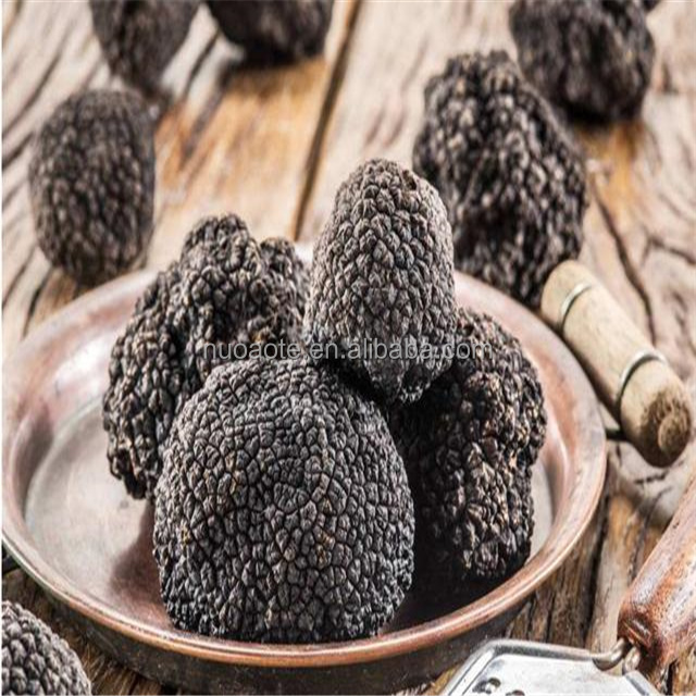 Хит продаж, шикарные свежие трюфели для кубениса, Львиная Грива, гриб-виброгриб