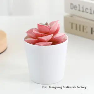 Petites plantes succulentes artificielles en <span class=keywords><strong>plastique</strong></span>, décorations de table de salon, fleurs artificielles durables, verdure - Product Image 2