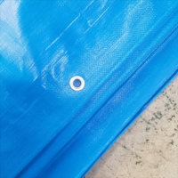 Blauw PE-zeil