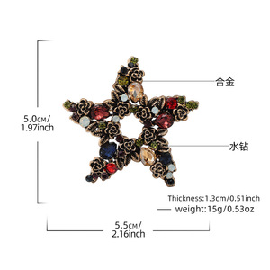 Broche de Estrella para Mujer, Aleación con Cristales de Imitación, Diseño de Flor de Cinco Puntas, 5.5cm, Joyería de Moda, Regalo - Product Image 1
