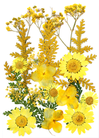 Natuurlijk bloemen DIY-materiaalpakket Embossing Handgemaakte feeënmake-up voor studenten Bruiloft Kerst Gezichtsdecoratie Goedkeuring