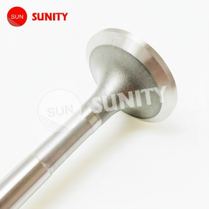 TAIWAN SUNITY 6HA2M OEM 126634-11111 SOUPAPE, ÉCHAPPEMENT POUR YANMAR 6HA2M Diesel Marine Auto bateau - Product Image 1