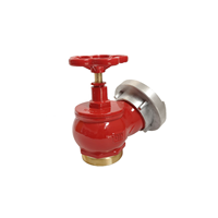 Vanne d'atterrissage pour eau de feu de style allemand 2 ''2.5'' DN65 Din Vanne d'atterrissage avec adaptateur Storz Vanne d'eau pour bouche d'incendie