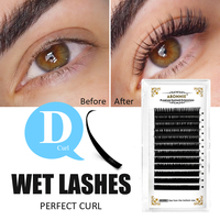 Abonnie Wholesale C D CC DD Curl Warna Hitam Wet Look Lashes Natural Curling Wet Lashes Extensions