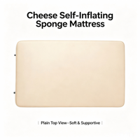 Matelas de camping auto-gonflant, coussin de couchage gonflable en mousse éponge, pliable, portable, avec pompe intégrée, moderne, pour le camping en plein air