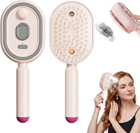 Brosse à vapeur électrique améliorée 2026, peigne massant à coussin d'air électrique avec pulvérisation, brosse à cheveux antistatique à lumière rouge avec pulvérisation d'eau