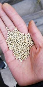 <span class=keywords><strong>Engrais</strong></span> composé NPK 11-8-22 gris souris couleur 2-4mm taille <span class=keywords><strong>engrais</strong></span> azoté <span class=keywords><strong>pour</strong></span> palmiers <span class=keywords><strong>tomates</strong></span> pommes de terre - Product Image 5