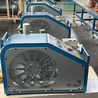 Compresor de Aire Portátil Compacto de Pistón al por Mayor 200L 300bar 4500psi Lubricado con Aceite para Buceo y Bomberos