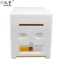 Mini ruche en plastique pour apiculteur, équipement apiculture en polystyrène, boîte EPS Queen Nuc, accouplement d'abeille, ruche en plastique, Offre Spéciale