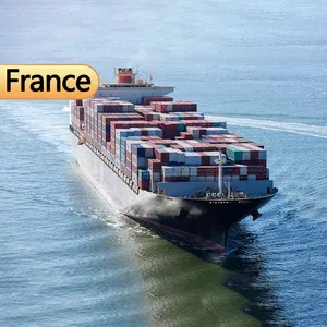 sea freight from china to fort de France martinique