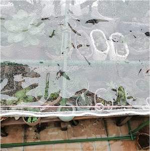 Lona Impermeable Transparente y Transpirable con Revestimiento de PVC, Anti-UV, con Ojales y Cuerda de Amarre, de Alta Resistencia para Jardín - Product Image 4