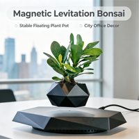 Pot de plante en ABS à lévitation magnétique, pot flottant rotatif, design minimaliste, cadeau créatif unique, décoration d'intérieur pour bonsaï