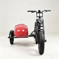 Bicicleta Eléctrica de 3 Ruedas con Neumáticos Anchos y Sidecar, Bicicleta Eléctrica con Asistencia al Pedaleo para Adultos, para Viajes con Pasajeros y Mascotas