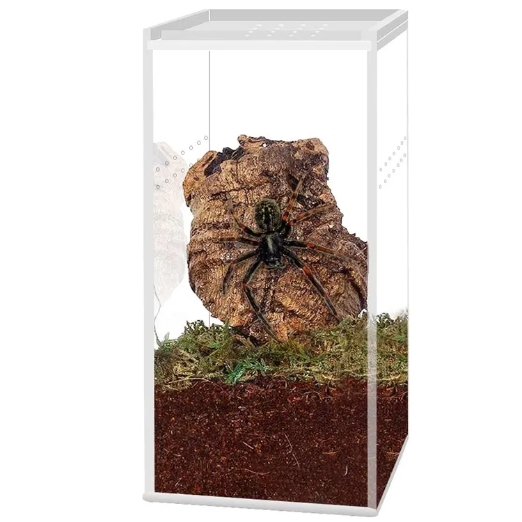 Terrario transparente alto para reptiles, jaula pequeña para mascotas, caja de cría de tarantula, plexiglás, acrílico, exhibición de reptiles