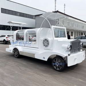 Cercueil funéraire 2026 moderne électrique de haute qualité, charrette funéraire de luxe blanche et or à chevaux, à vendre - Product Image 3
