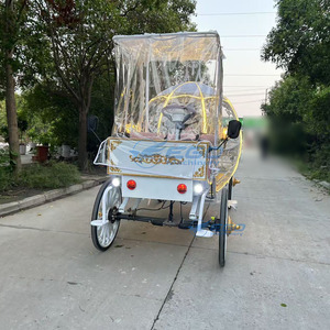 Sparkling Pumpkin Carriage <b>Enchanted</b> Cart Picturesque Electric Horseless Carriage for Scenic Spots Special Transportation - Product Image 3