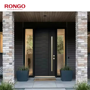 Porta d'Ingresso Pivotante in Acciaio Inox per Villa Moderna - Product Image 3