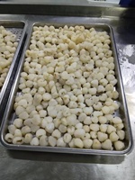 Diepvries Lychee Premium Kwaliteit - Ideaal voor importeurs en groothandels, Lychee fruit met frisse smaak