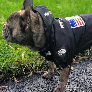 Abrigo impermeable para perros a la moda, chaqueta para exteriores con cara de perro, impermeable reflectante para perros pequeños, medianos y grandes, ropa para mascotas y gatos - Product Image 5
