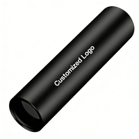 Lampe torche UV portable puissante, mini lampe torche à lumière noire, détection d'urine d'animaux, rechargeable par USB-C, lumière noire 365 nm