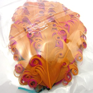 2025 New Arrival Thời trang Cam xoăn Ngỗng Feather Pads - Product Image 1