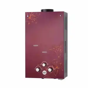 Factory Natural Gas Water Heater Copper Valve Body Easily Cleaned Mobile Gas Water Heater Parts For Home
