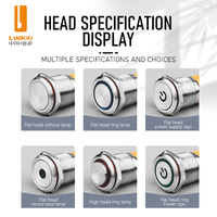 LANBOO-Interruptor de botón de metal luminoso, 16mm, 19mm, 3A, con reinicio de autobloqueo, 1NO1NC, resistente al agua IP65, rojo, verde, azul