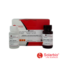 Kit de Tinción de Nódulos Mineralizados Osteoblasticos de Alta Calidad Solarbio (Método Alizarin Red S) para Investigación Científica