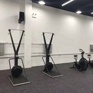 Máquina de Esquí Económica para Gimnasio, Equipo de Cardio, Máquina de Remo para Esquí - Product Image 6