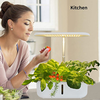 Équipement de culture hors sol, système de culture hydroponique intelligent pour la maison, pots à légumes, boîtes de culture pour plantes/fleurs, haute rigidité