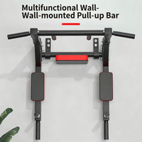 Équipement de fitness 2-en-1 multifonctionnel : Station de traction et de dips murale avec barres de traction et de dips