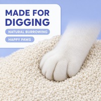 Litière pour chat en manioc biodégradable, agglomérante, à absorption rapide, naturelle, à base de plantes, sans poussière, sans odeur et à faible diffusion de poussière